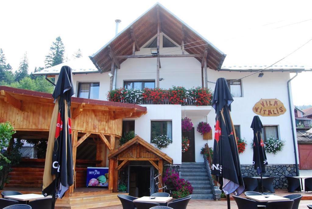 Vila Vitalis Predeal Exteriér fotografie